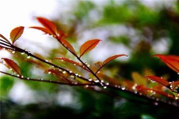 迅雷磁盘助手