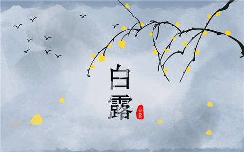 SoundSeeder Speaker中文版