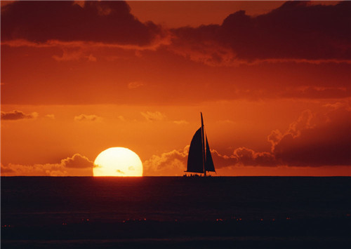 龙8官方入口2025最新版结局画面与主题呈现