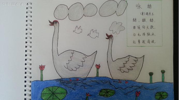 贵州药材APP