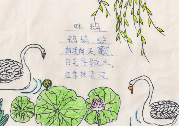 eman安卓版
