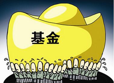 沸点网络电视直播