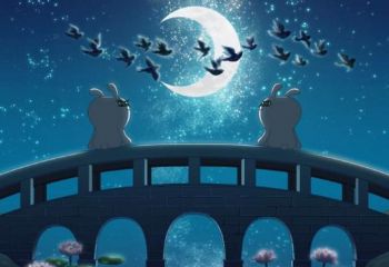财神十三张appV2.2专业版