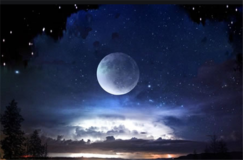 四通利方综艺体