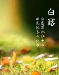 kaiyun开云官方在线注册V3.6专业版