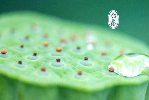 生命线：冰天穴地