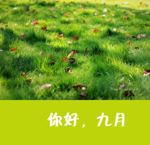 云开体育app官方下载安卓版二维码