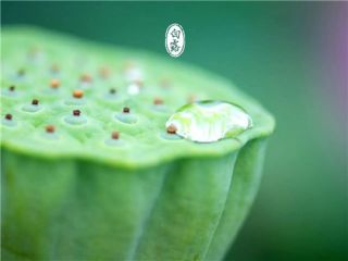 Kaiyun体育官网app下载V2.8专业版