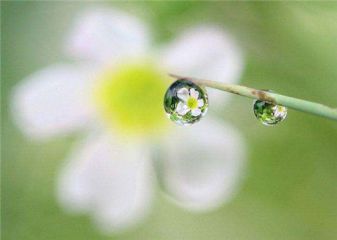 威尼斯人手机登录2025最新版角色与车辆全家福展示