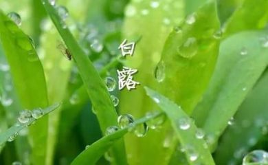 河南汽车维修平台APP