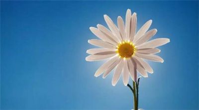 kaiyun体育app第三方平台下载V2.5专业版