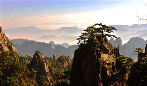 7008集团appV1.2专业版