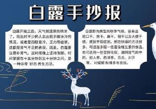 小熊洗车APP