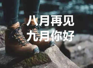 开云app苹果版官网入口V1.2专业版