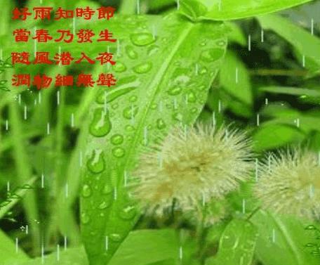 kaiyun体育app官网下载安全验证方法V5.9专业版