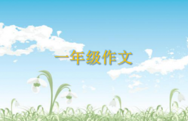 开云kaiyun官方入口