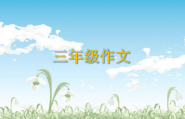 澳洲8appV5.4专业版