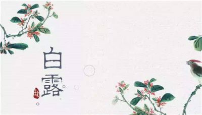 巷彩通app
