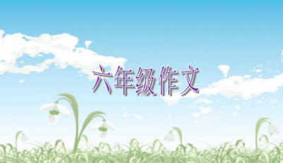 赏金船长app安卓版二维码