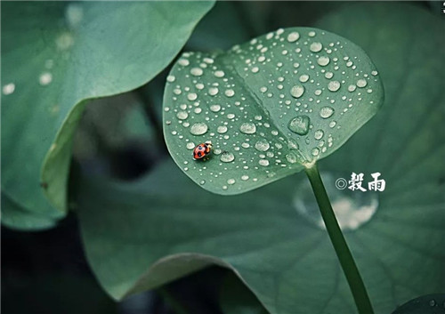 开云kaiyun最新版本下载V9.7专业版