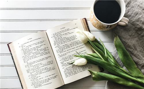 大家赢315252com 2025版 新门派隐宗技能演示