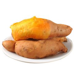 C39P24DlTt条形码字体