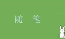 《威泥斯人app》2025最新版太空舰队战斗画面