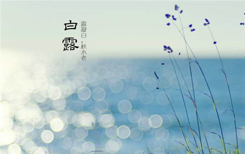 贵州药材APP