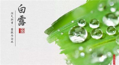 开云网页版在线登录app 2025最新版游戏主界面
