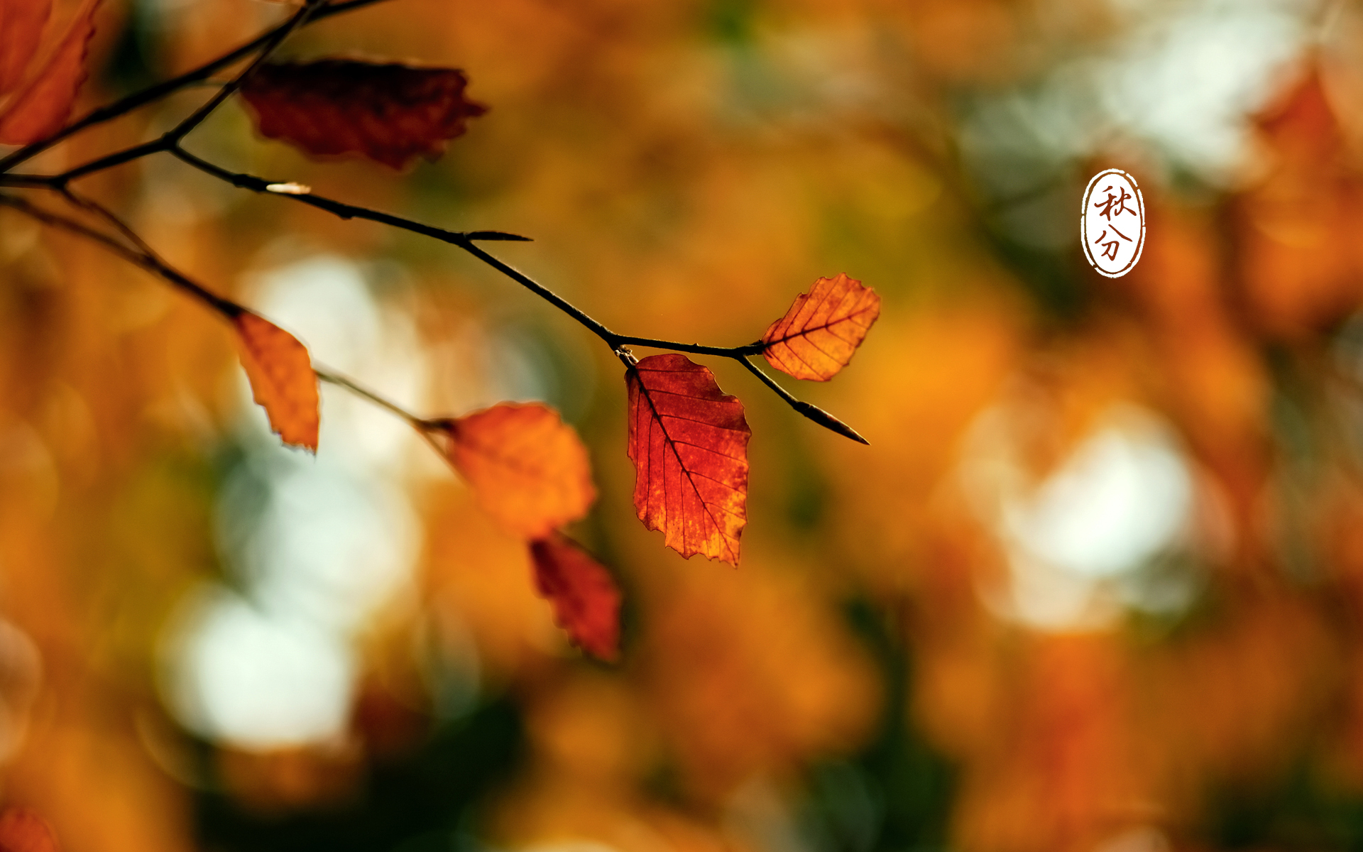 sql2000企业管理器