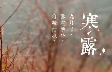 菠菜公社appV3.4专业版