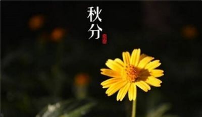 开云kaiyun官方网站app下载V4.1专业版