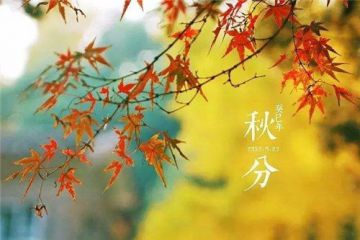 极品涡轮赛车手游