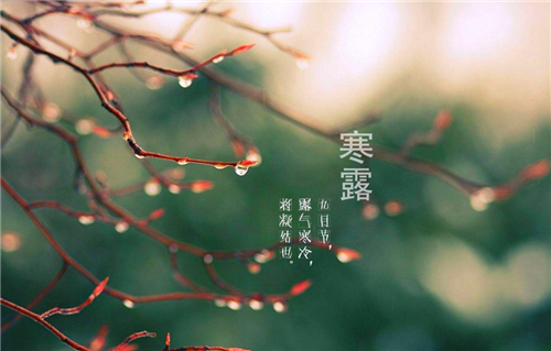 河南汽车维修平台APP