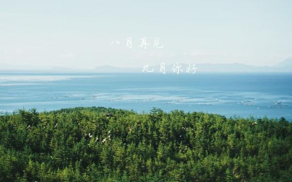 博鱼app2025最新版职业技能特效展示