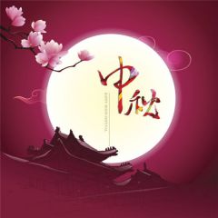 pg电子平台appV6.6专业版