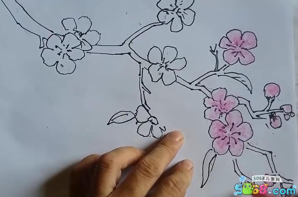 贵州药材APP