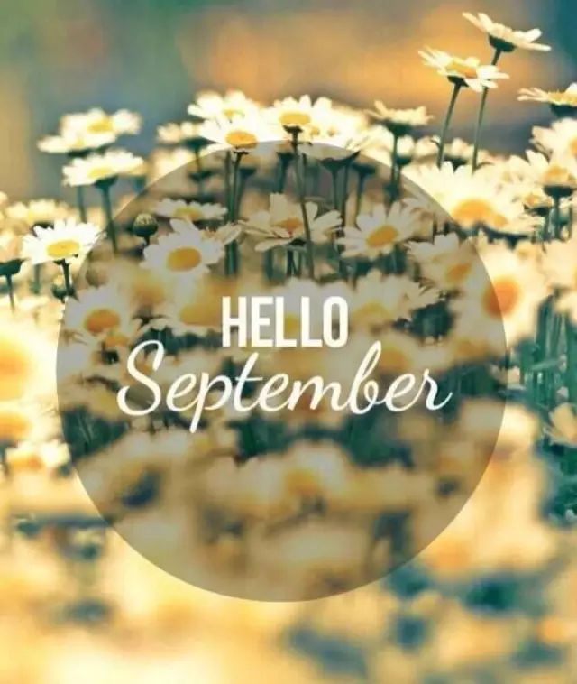 55世纪app安卓版二维码