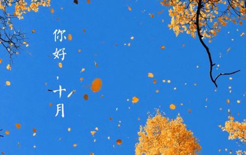 河南汽车维修平台APP