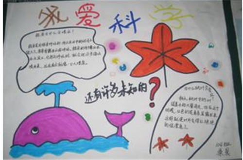 猪迪克识字电脑版