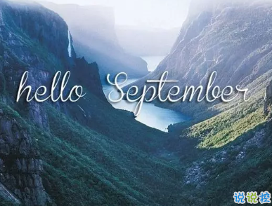 枫树极速浏览器绿色版