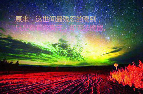 小熊洗车APP