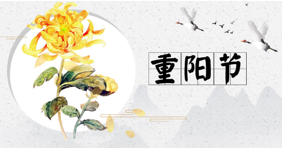 威尼斯集团app2025最新版铁驭跑酷战斗画面