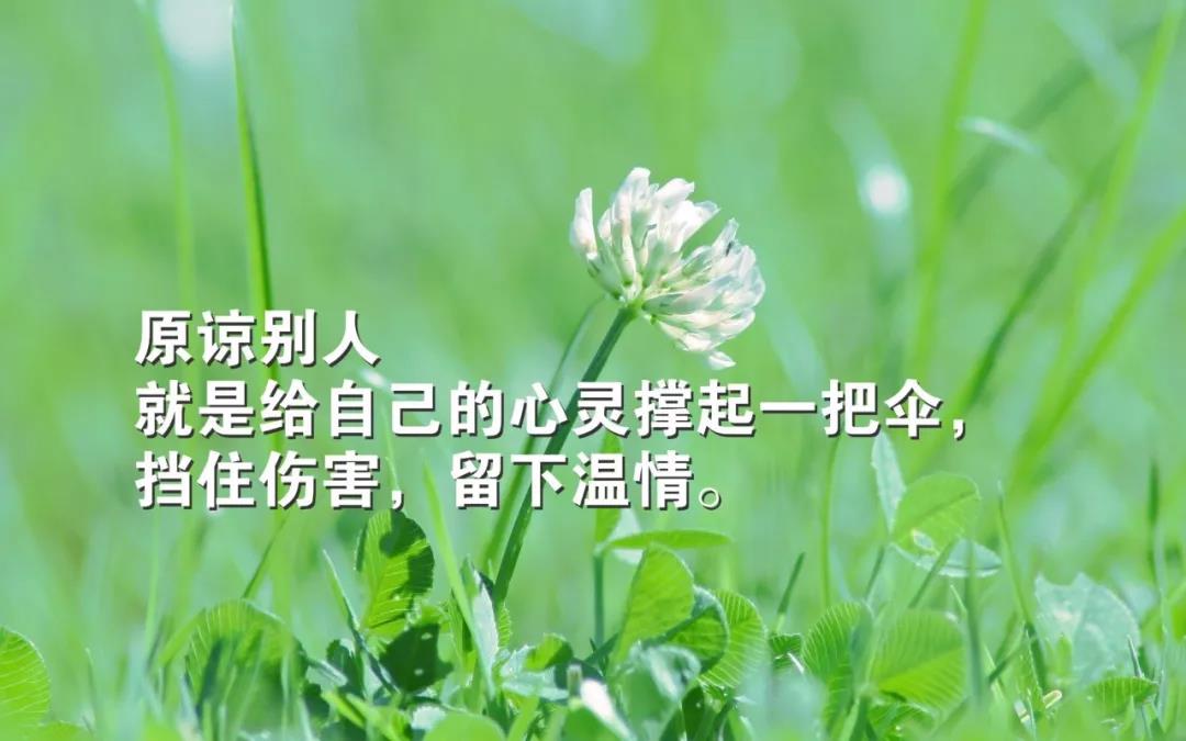 亚bo体育网页版V1.8专业版