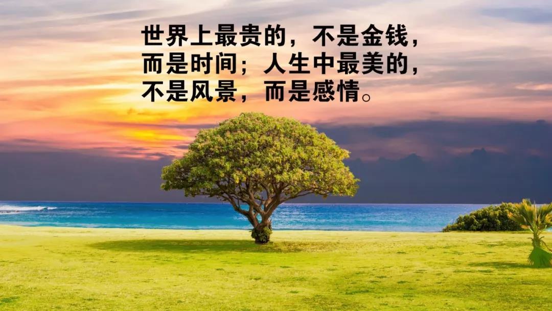 世界杯竞猜网网页版