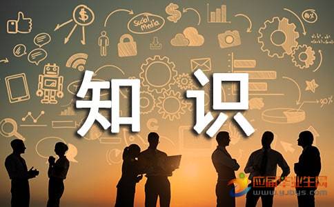 灵魂筹码2025最新版赌徒团队协作场景
