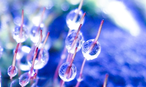 iis6缺失文件包(w3dt.mof/w3dt.mfl/w3isapi.mfl/w3isapi.mof 等)