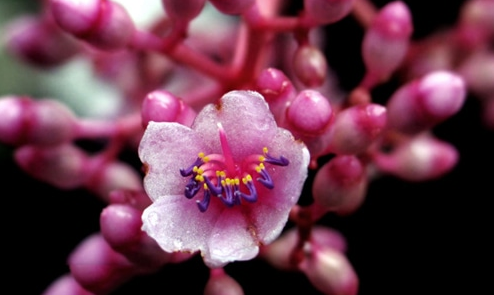 诺亚保险AG体育V7.1专业版