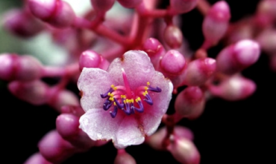 乐动站网页版安卓版二维码