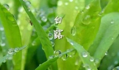 V商宝